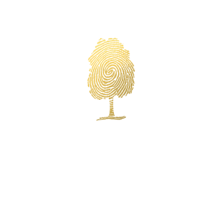 LIPA