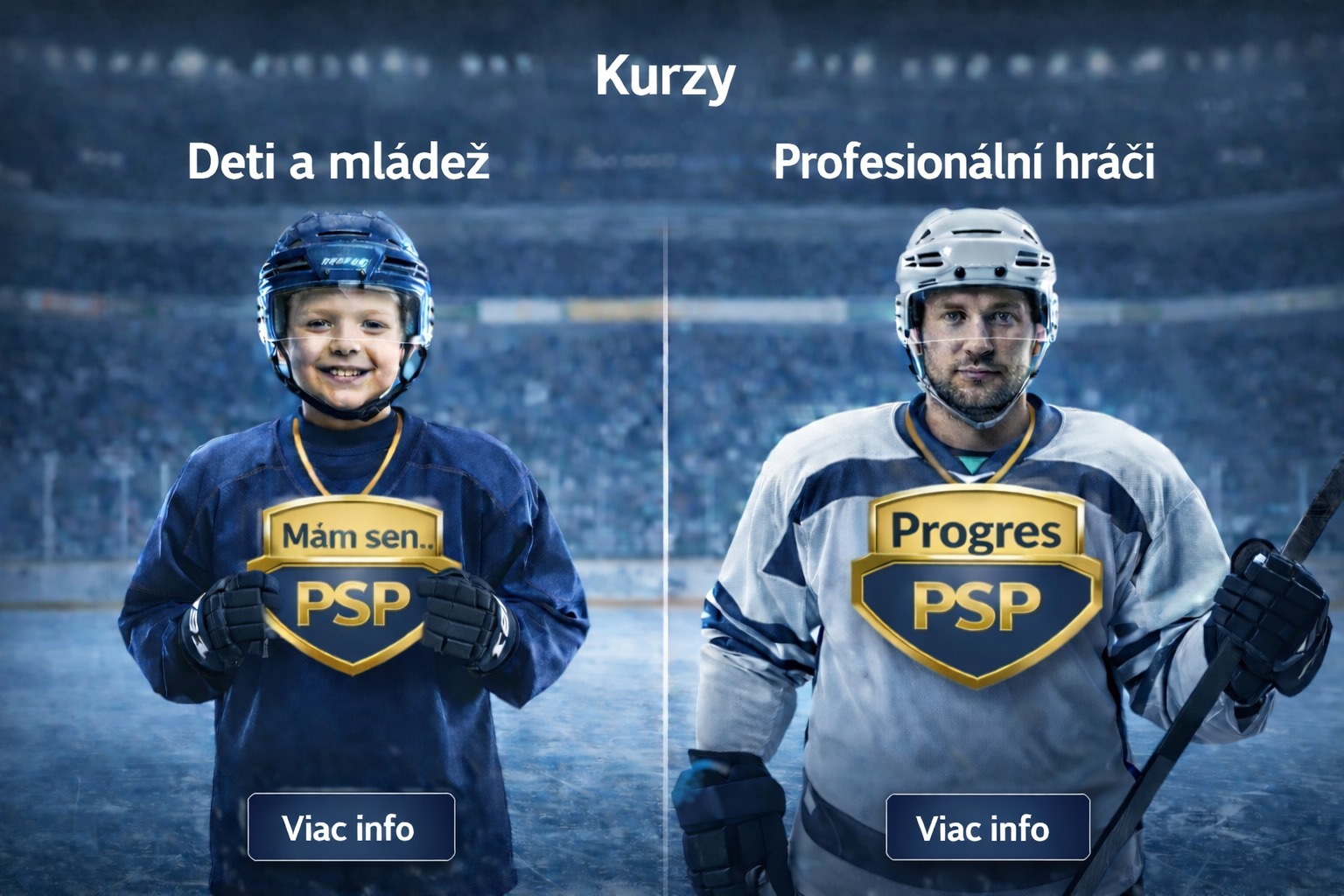 Kurzy – Martin Dendis